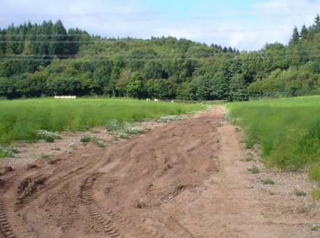 Before grass is established water has a clear and fast path to leave the field. Grass slows the runoff, and allows it to infiltrate back into the ground rather than carrying pollutants into watercourses