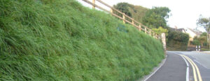 Webwall geocellular retaining wall system offers a neat and fast to install solution in many SuDS applications