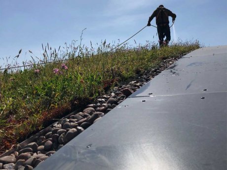 Green roof maintenance and watering