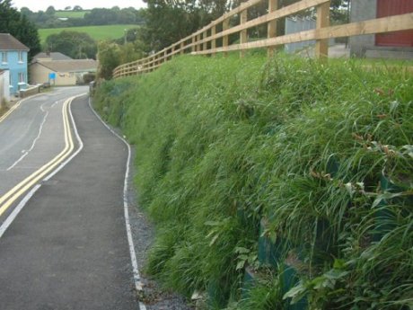 New, safe access footpath for pedestrians bordered by a vegetated retaining wall
